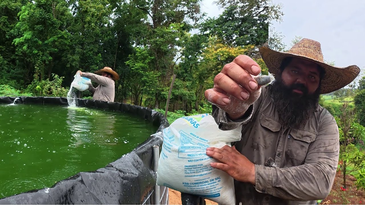 joguei 25 kg de sal na agua para salvar os peixes dum fungo