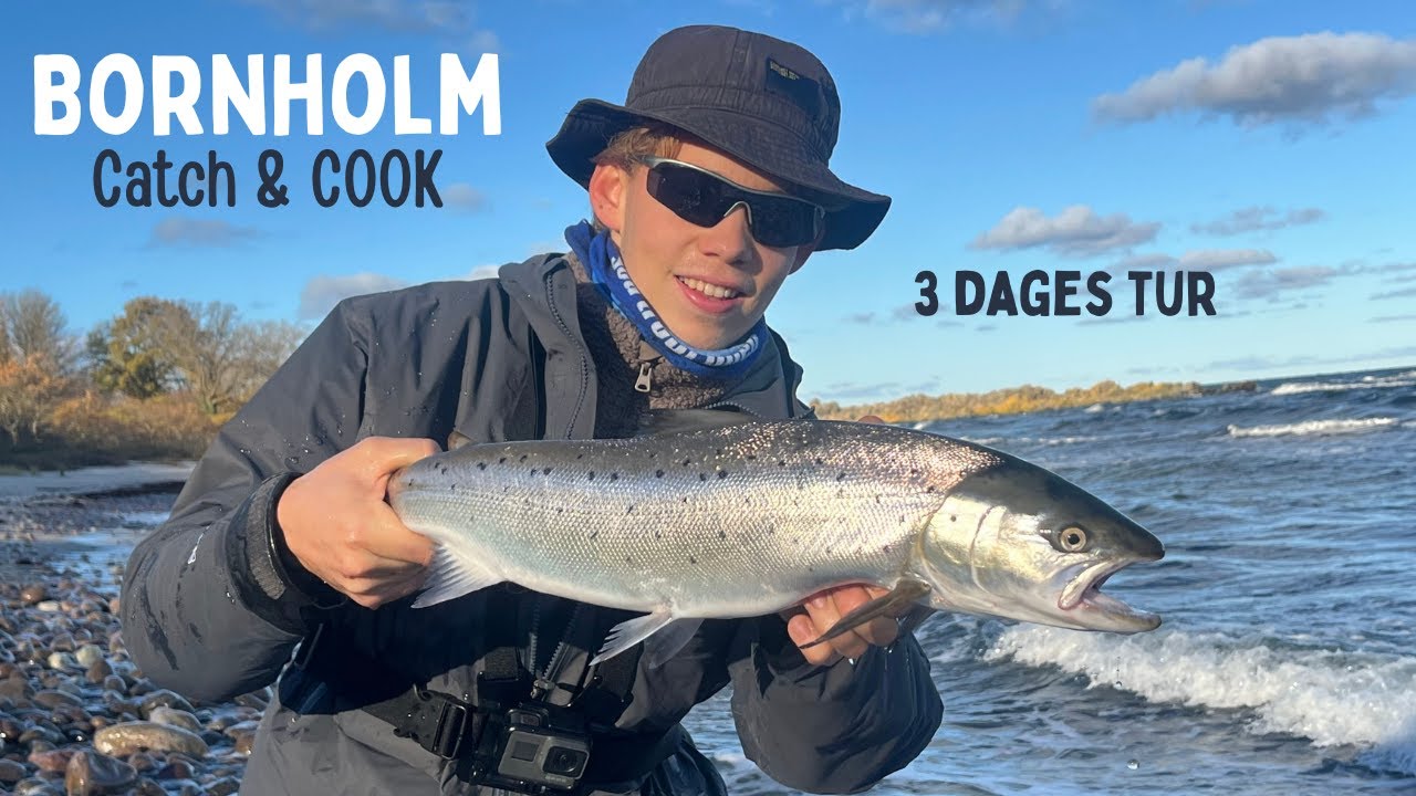HAV&Oslash;RRED FISKERI P&Aring; BORNHOLM! *Stor &Oslash;rred* - Catch n' Cook