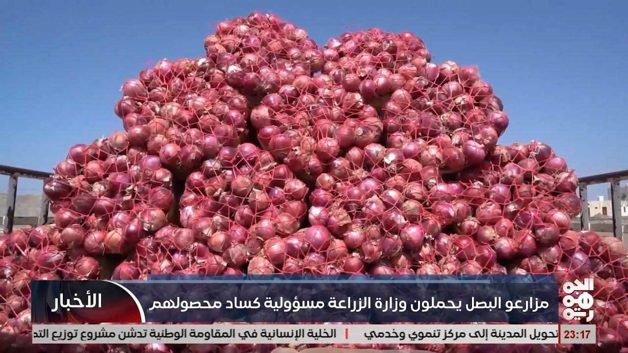 مزارعو البصل يحملون وزارة الزراعة مسؤولية كساد محصولهم