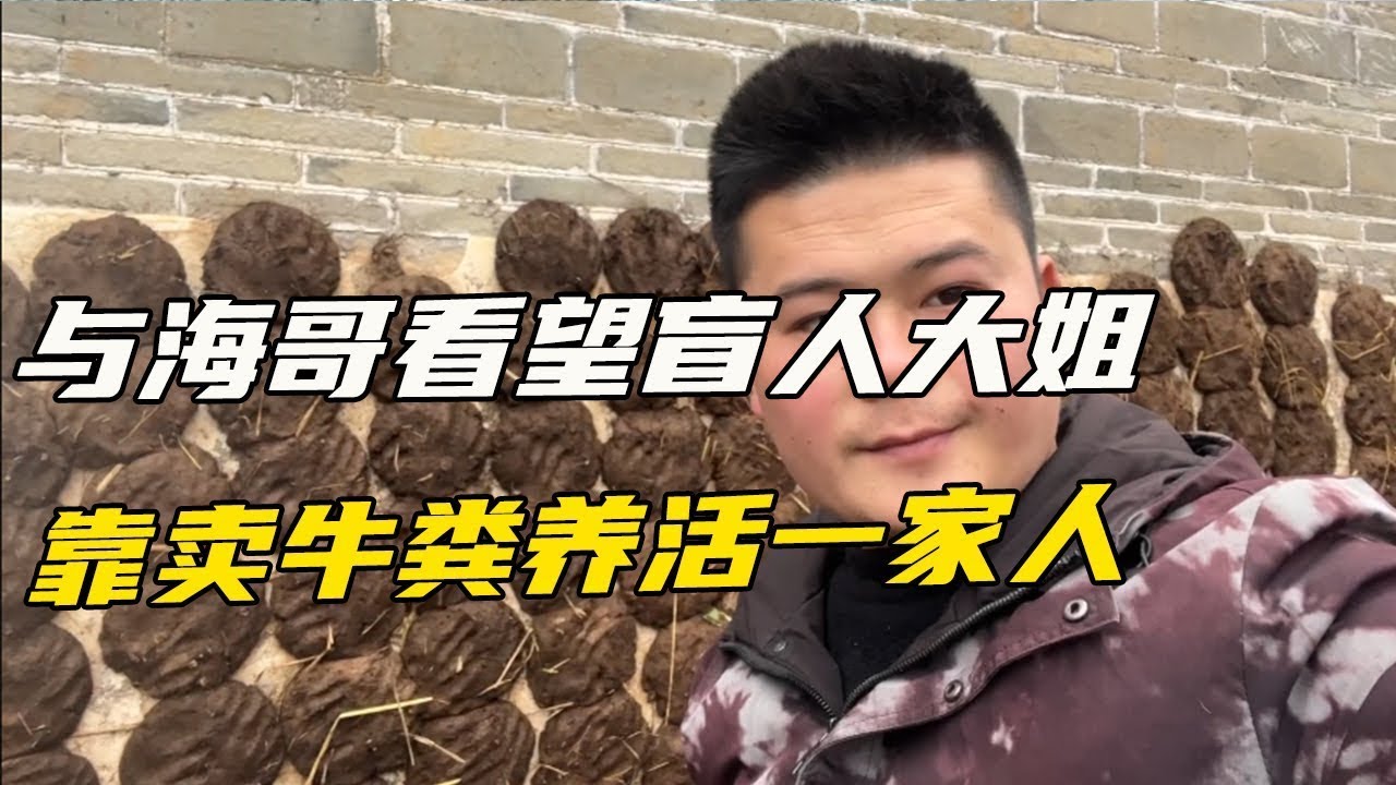 随海哥看望盲人大姐，靠晒牛粪养活一家人，故事励志又感人【海派高手】