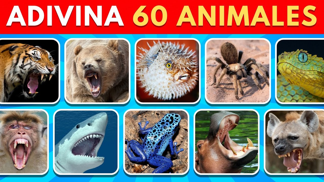 Adivina 60 Animales Peligrosos en 3 Segundos! 🦁🐍🦂 | 60 Animales Salvajes y Peligrosos