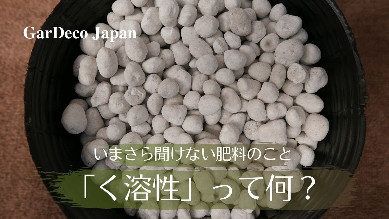 【いまさら聞けない肥料のこと】く溶性って何？