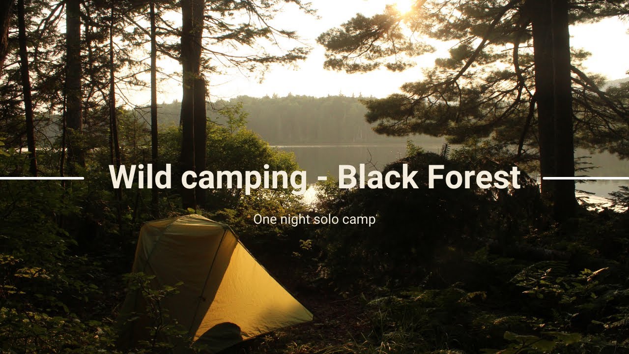 Wild camping in the Black Forest, One Night Solo Camp