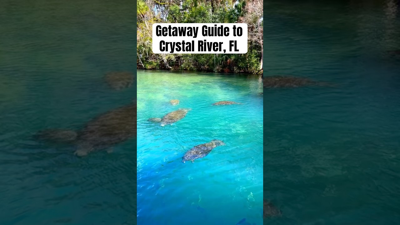 #travel #crystalriverflorida #visitflorida #travelvlog #travelitinerary #florida