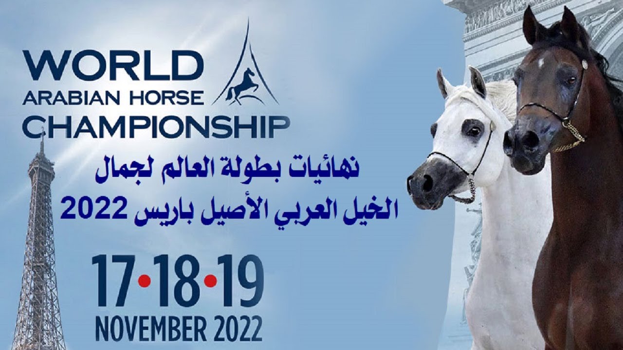 الحصان العربي الأصيل | نهائيات بطولة العالم لجمال الخيل العربي الأصيل بباريس لعام 2022 اليوم الختامي