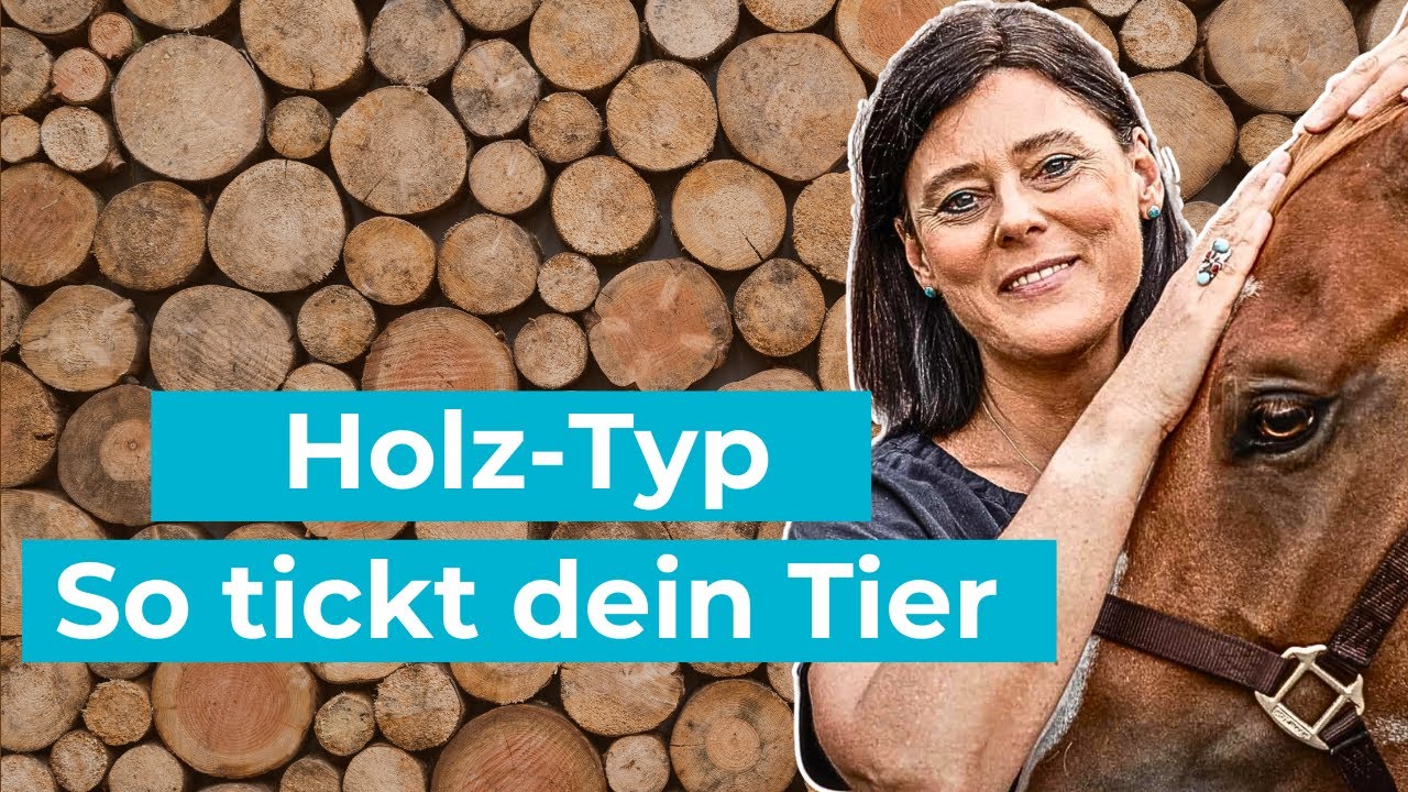 Das Holz Element in der TCVM
