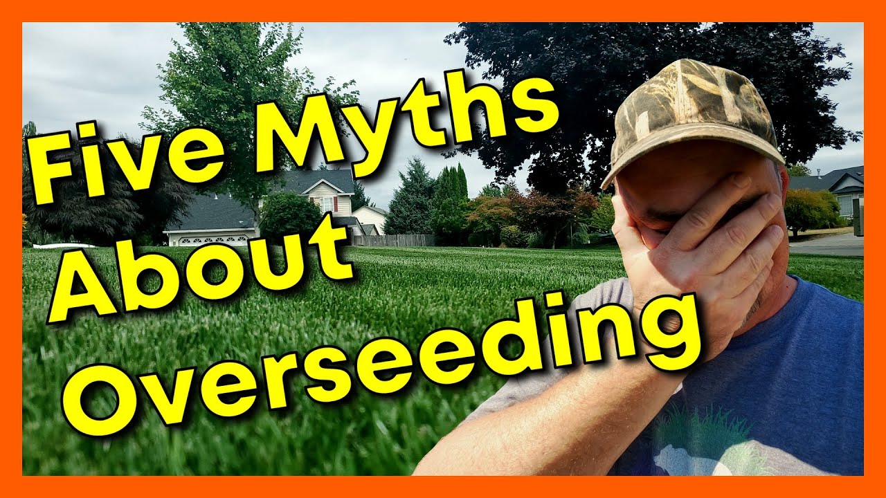 Five Myths About Overseeding or Renovating Your Lawn