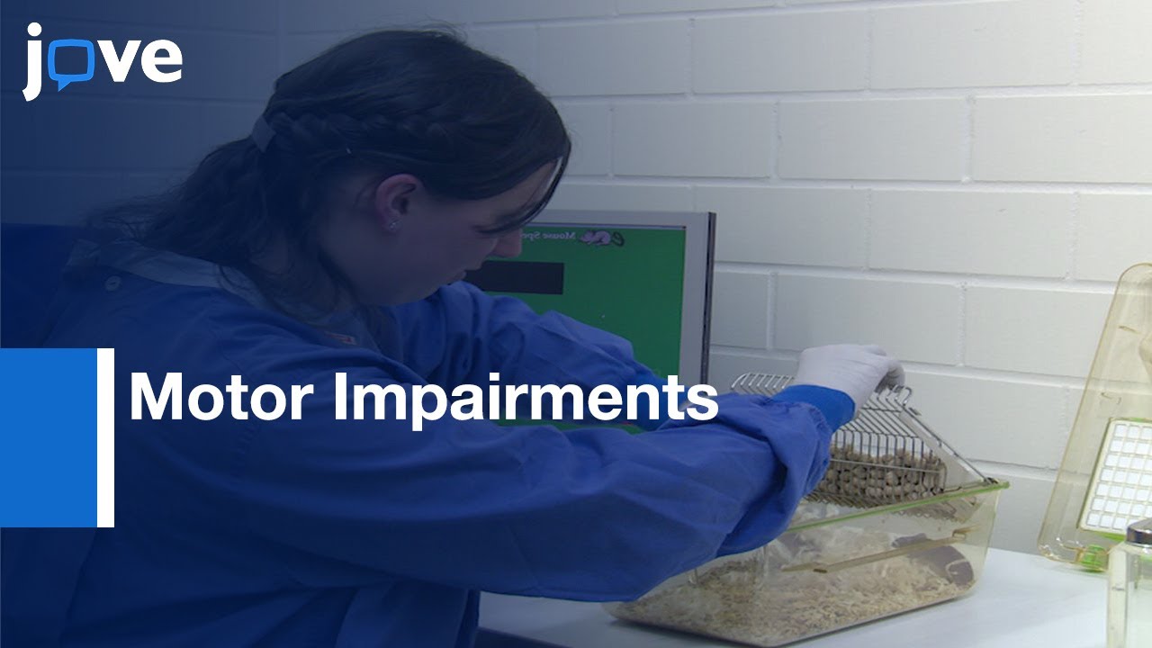Gait Analysis of Age dependent Motor Impairments | Protocol Preview