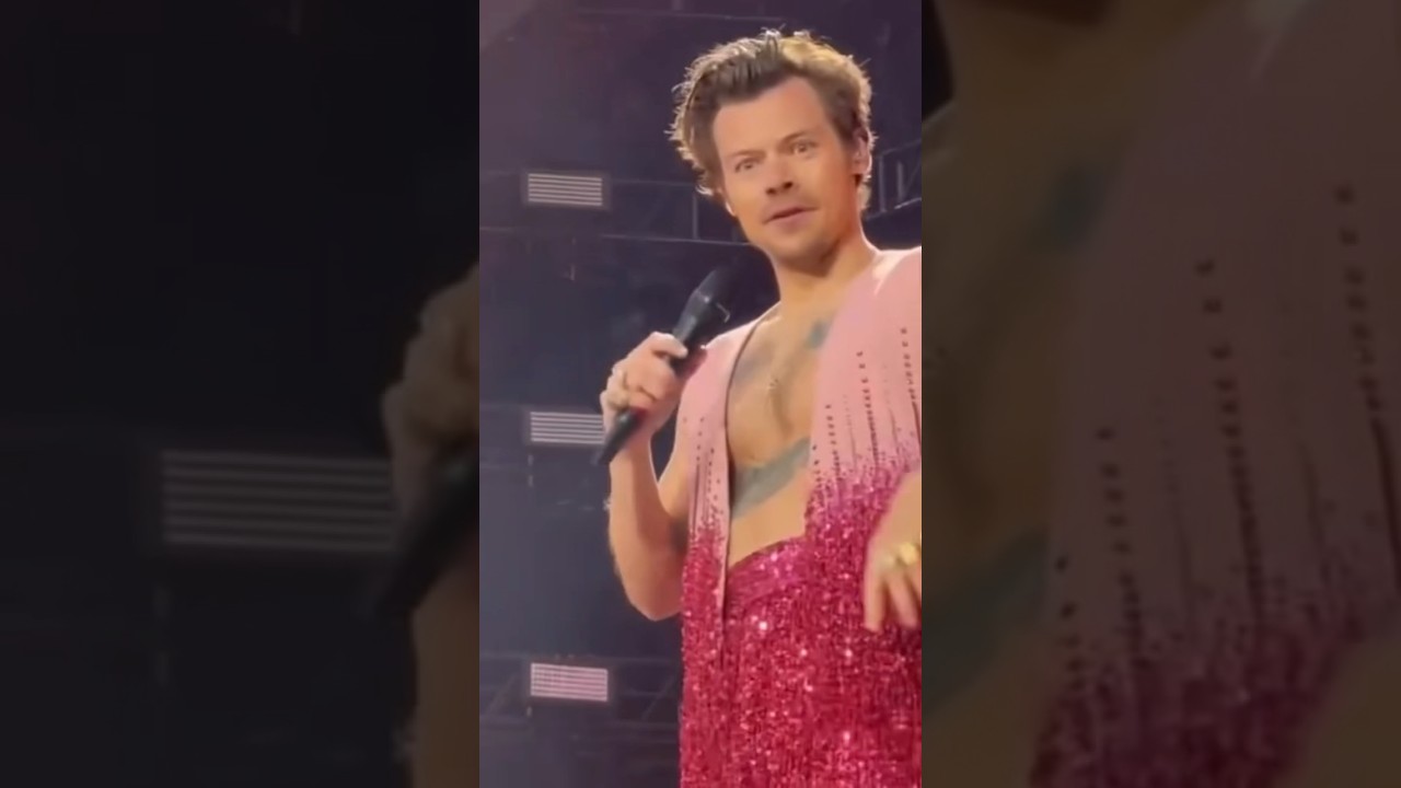 Harry Styles &ldquo;Are you well?&rdquo; to a fan screaming