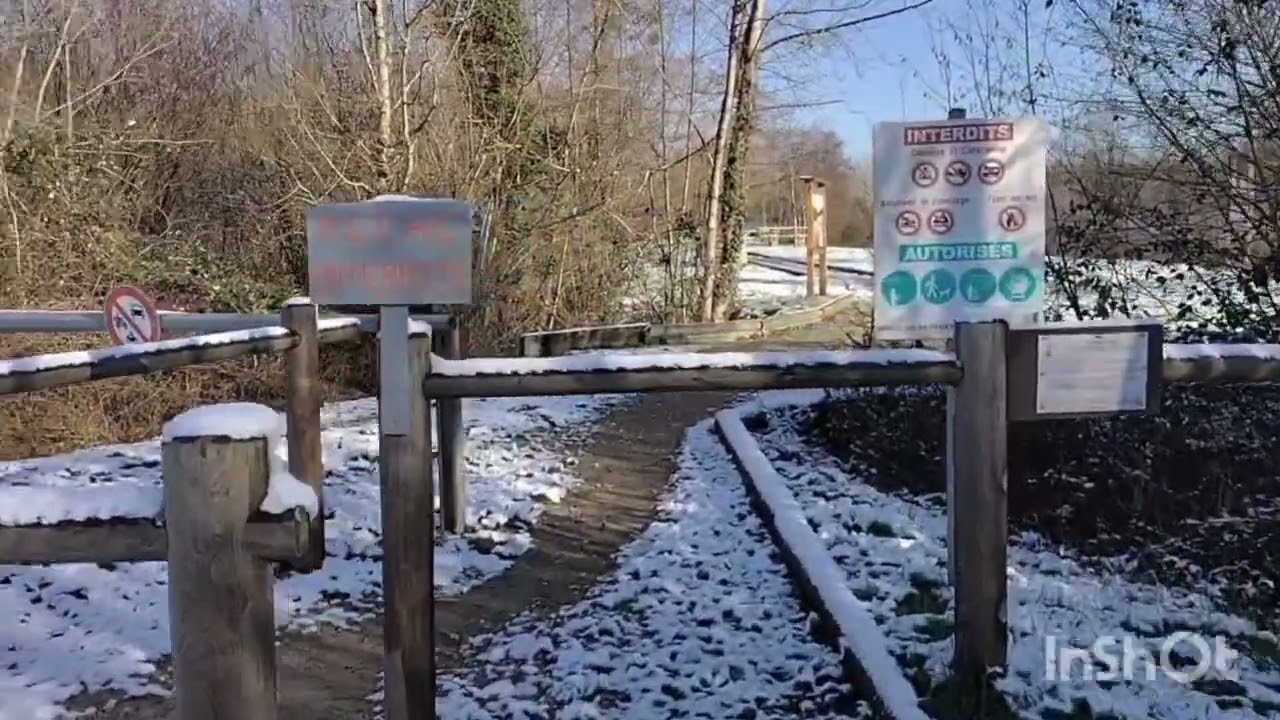Pèlerinage de Noël 