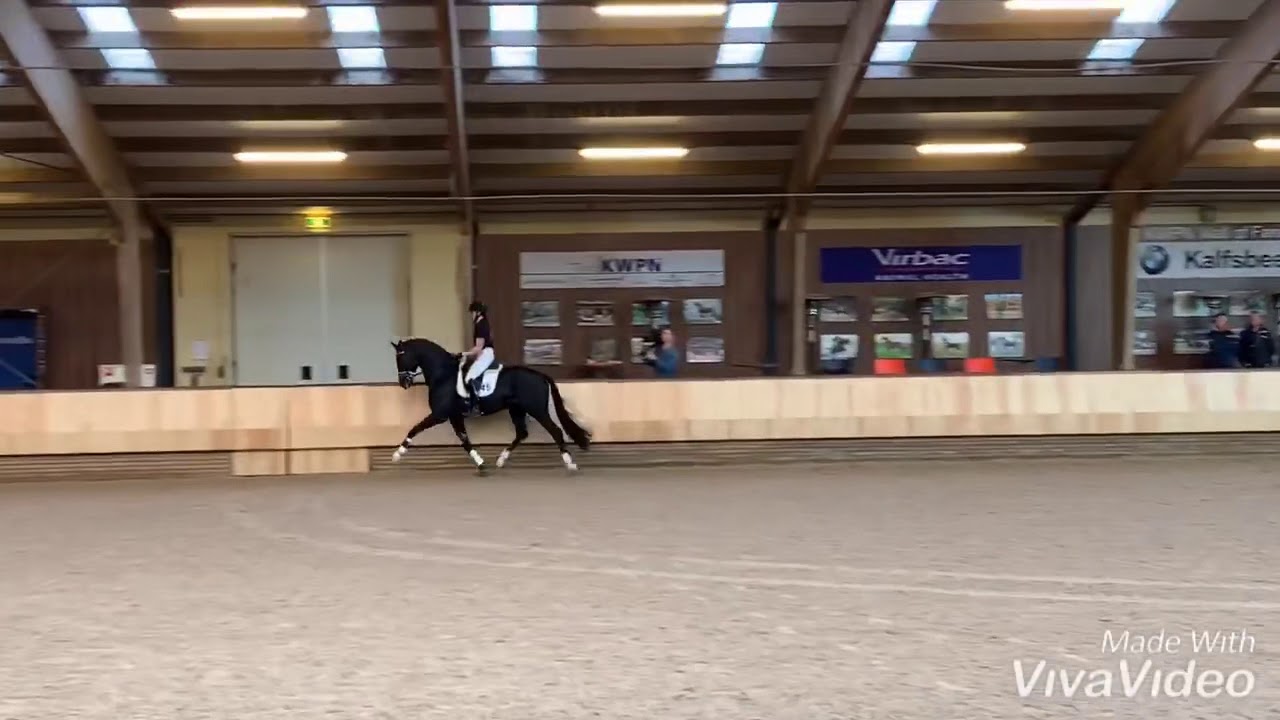 Jameson RS2 (Blue Hors Zack x Negro) examen KWPN verrichtingsonderzoek
