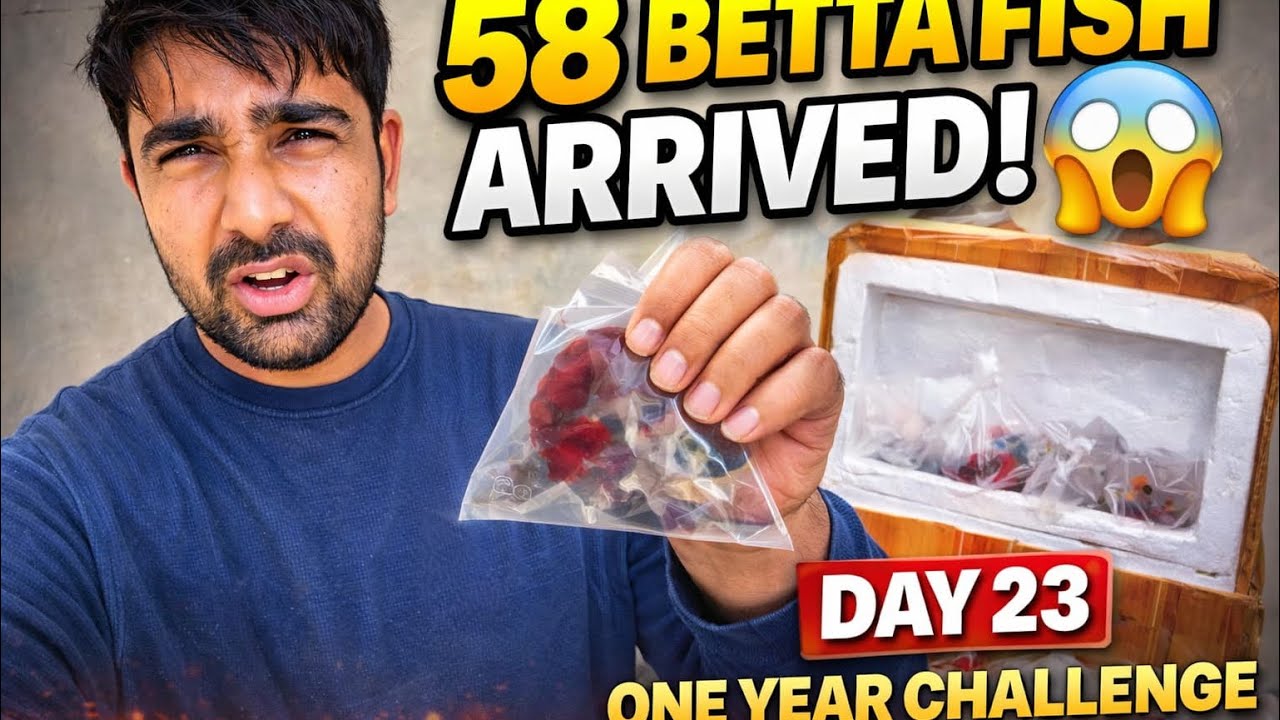 Day 23: Farm Ke Liye Aayi Kuch 
