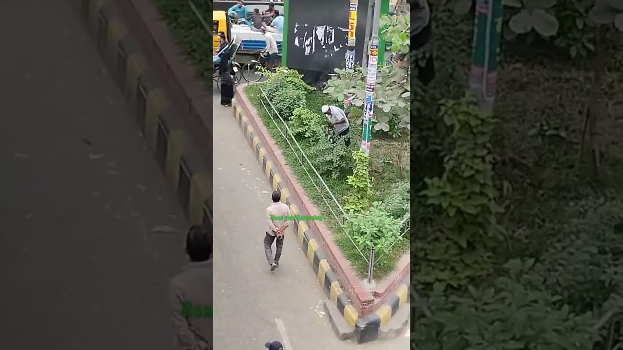 Gardening for road beautification.