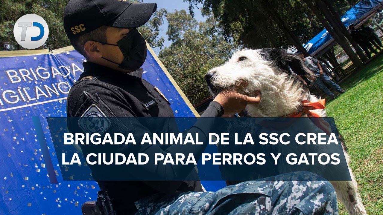 En CdMx, inauguran Ciudad de los Perros y Gatos, albergue para animales rescatados