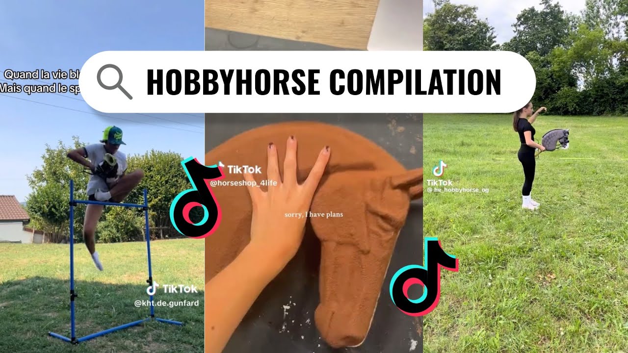 Hobby Horse TikTok Compilation