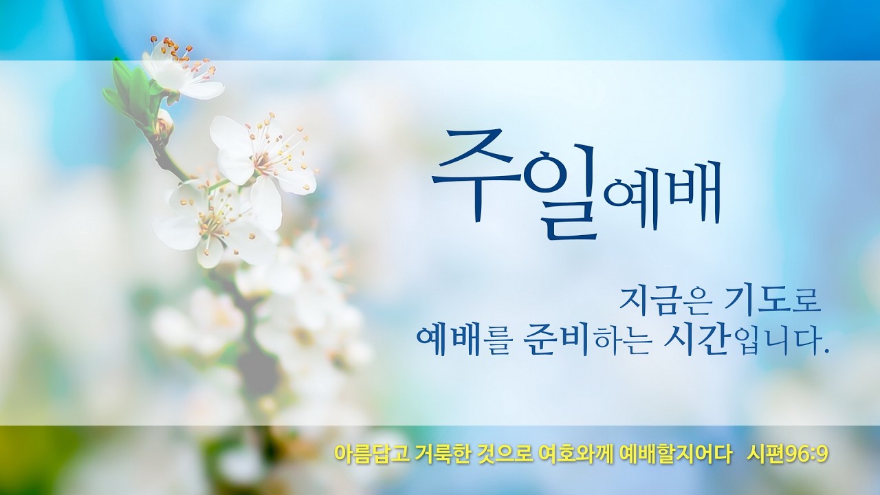 2026.3.15. 예담교회 주일오전 3부예배 LIVE