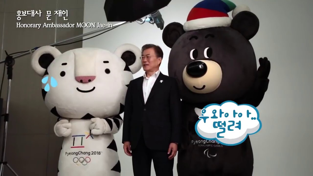 입덕하게 되는 수호랑 영상모음