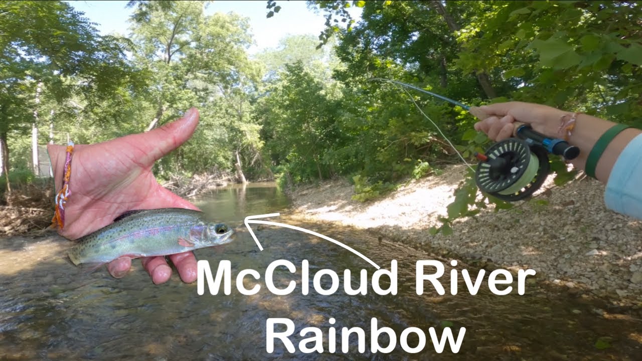 Summertime Fly Fishing Legendary Crane Creek!