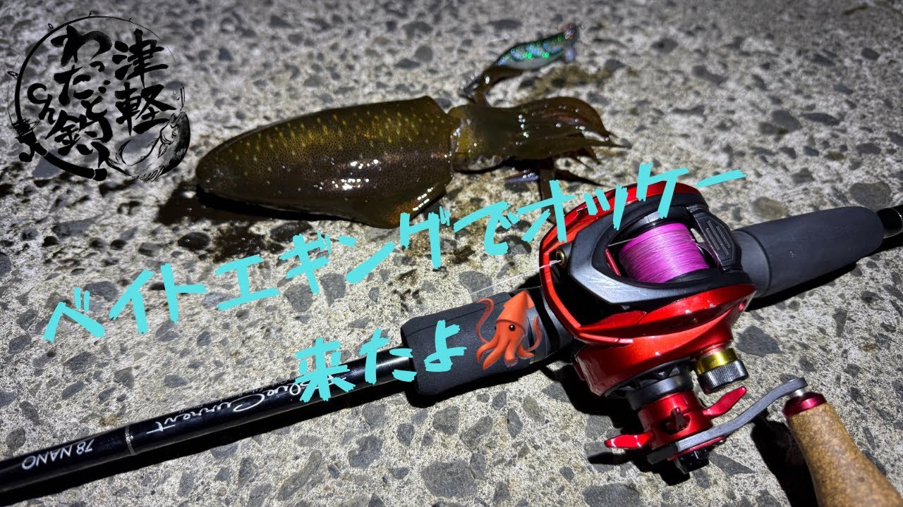 2025年は領域展開でベイトエギング🎣🦑