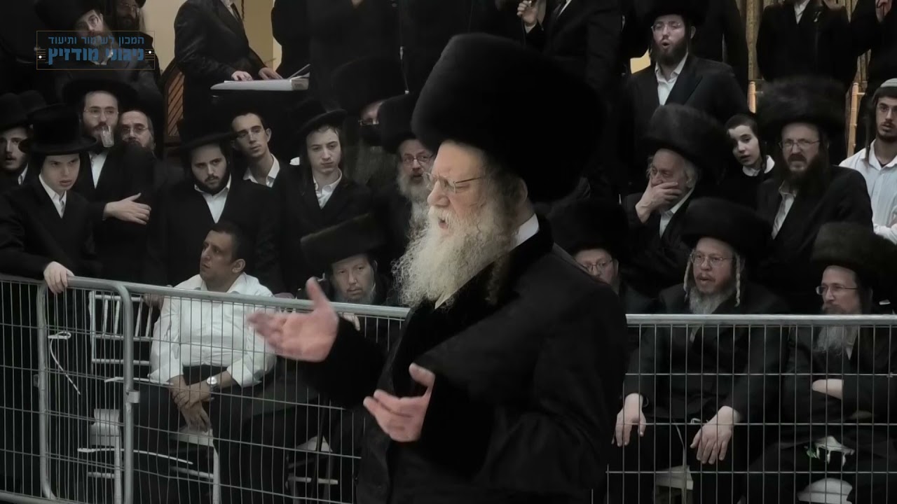 שמחת בית מודז'יץ חשון תשפ