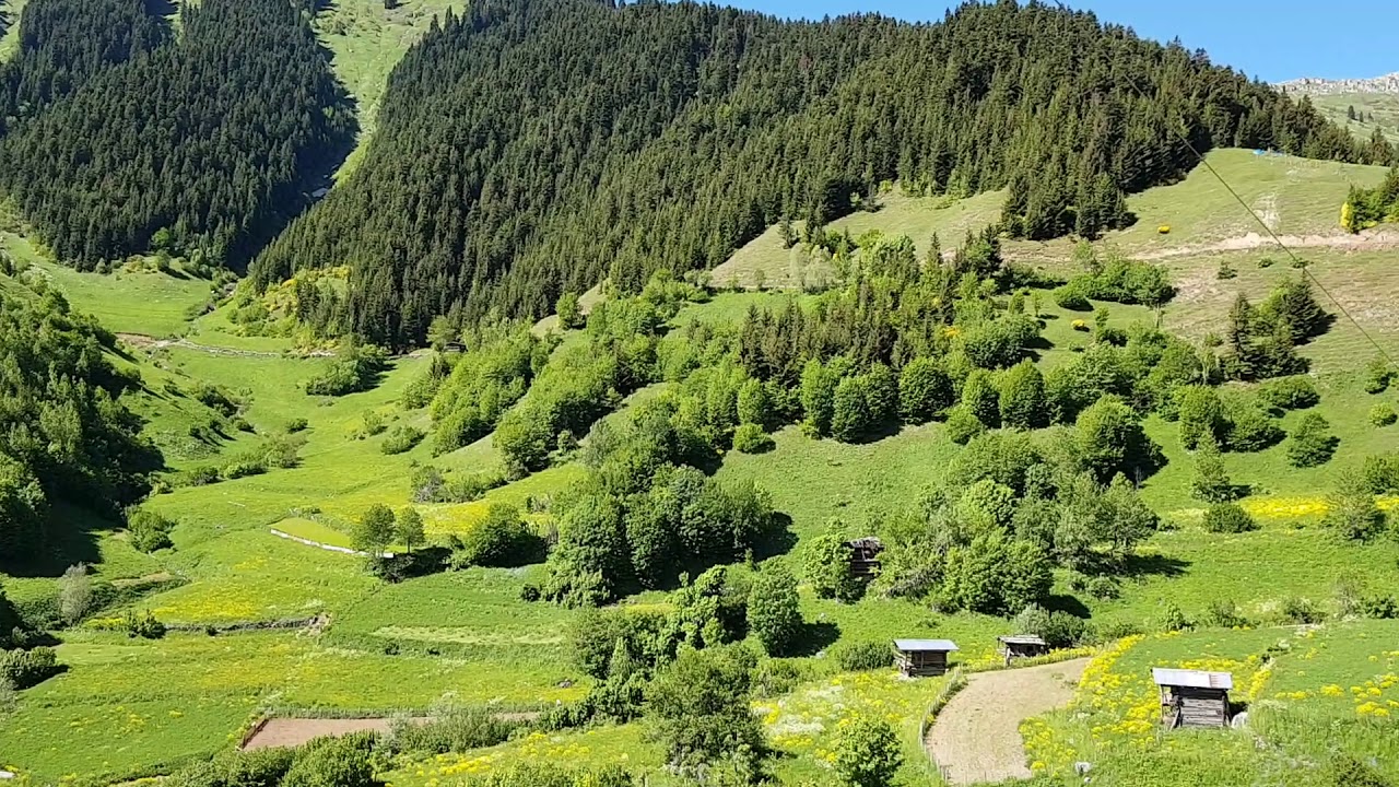 Ahşap Mimari-Maden Köy (Bazgiret)-Şavşat/Maden Village/Şavşat