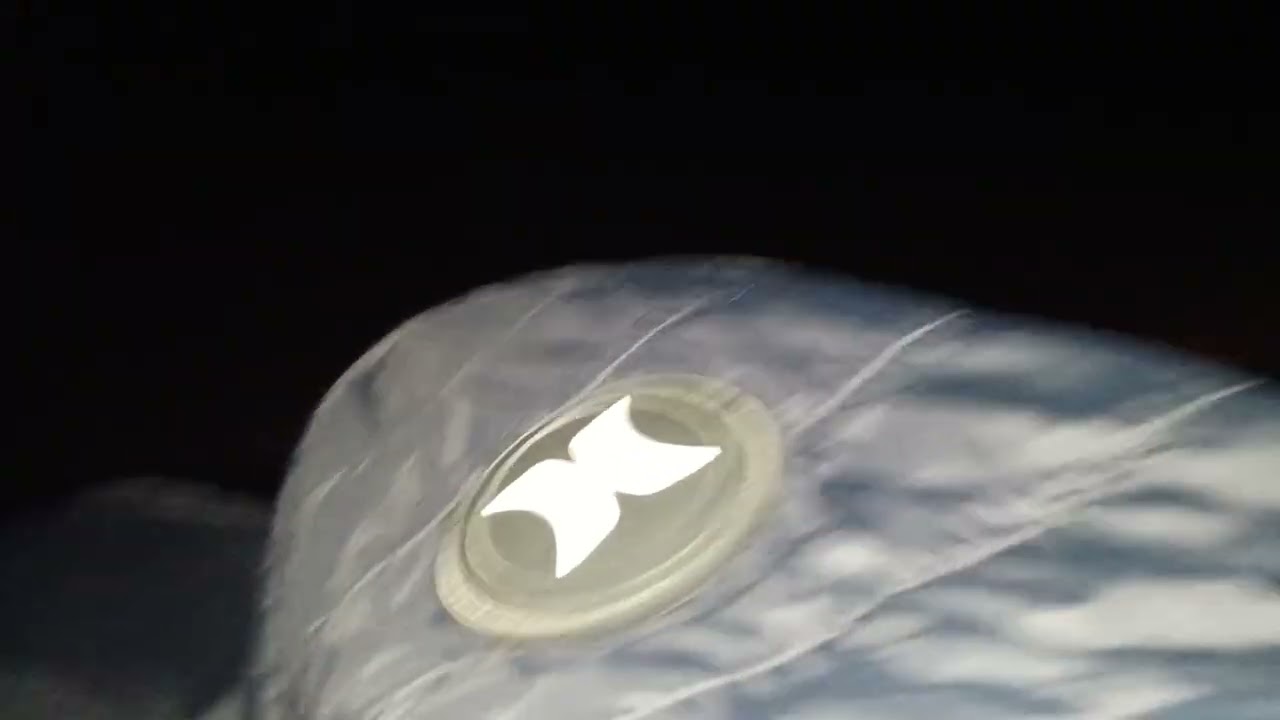 Trains of 2/5/2026: Fast WB 2X1 International Intermodal Train passes Glendale Park (La Crosse WI)