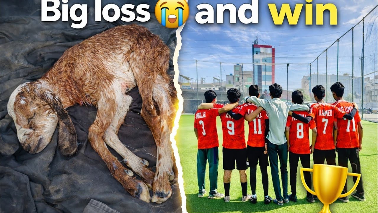  Big loss 😭😭  and win again football match 