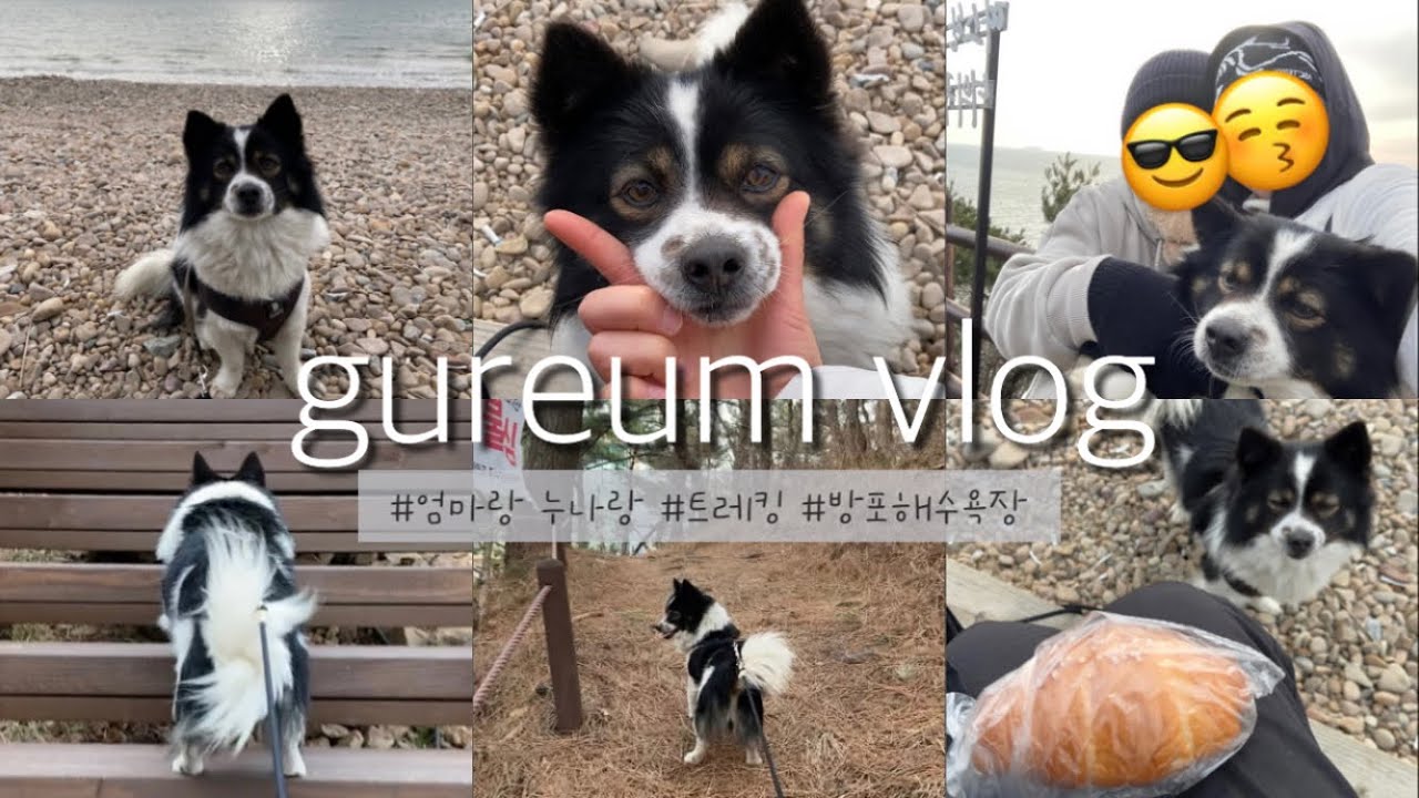 구름이랑 산책하기☁️🐶 | 트레킹⛰️ | 방포해수욕장🌊 | 간식 냠냠🥐🌭