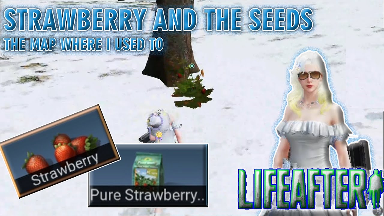 STRAWBERRY AND THE SEEDS