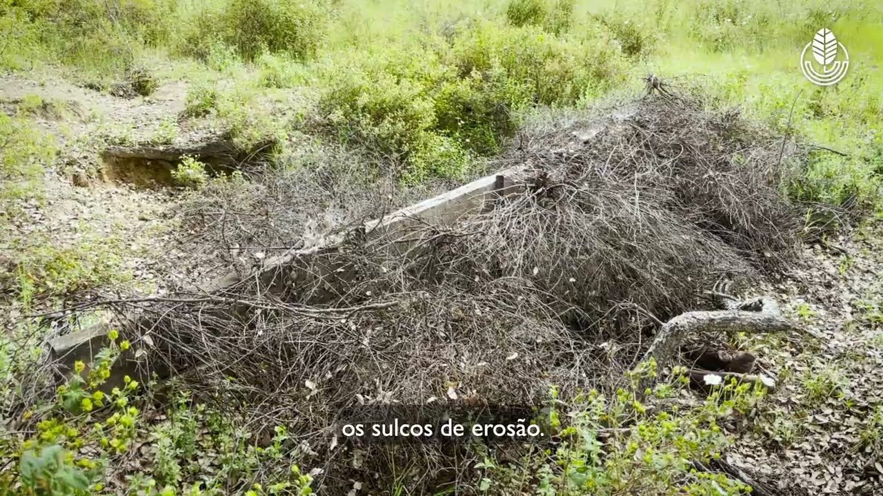 34. Redução da erosão e aumento da infiltração| Reduccion de la erosión y aumento de la infiltración