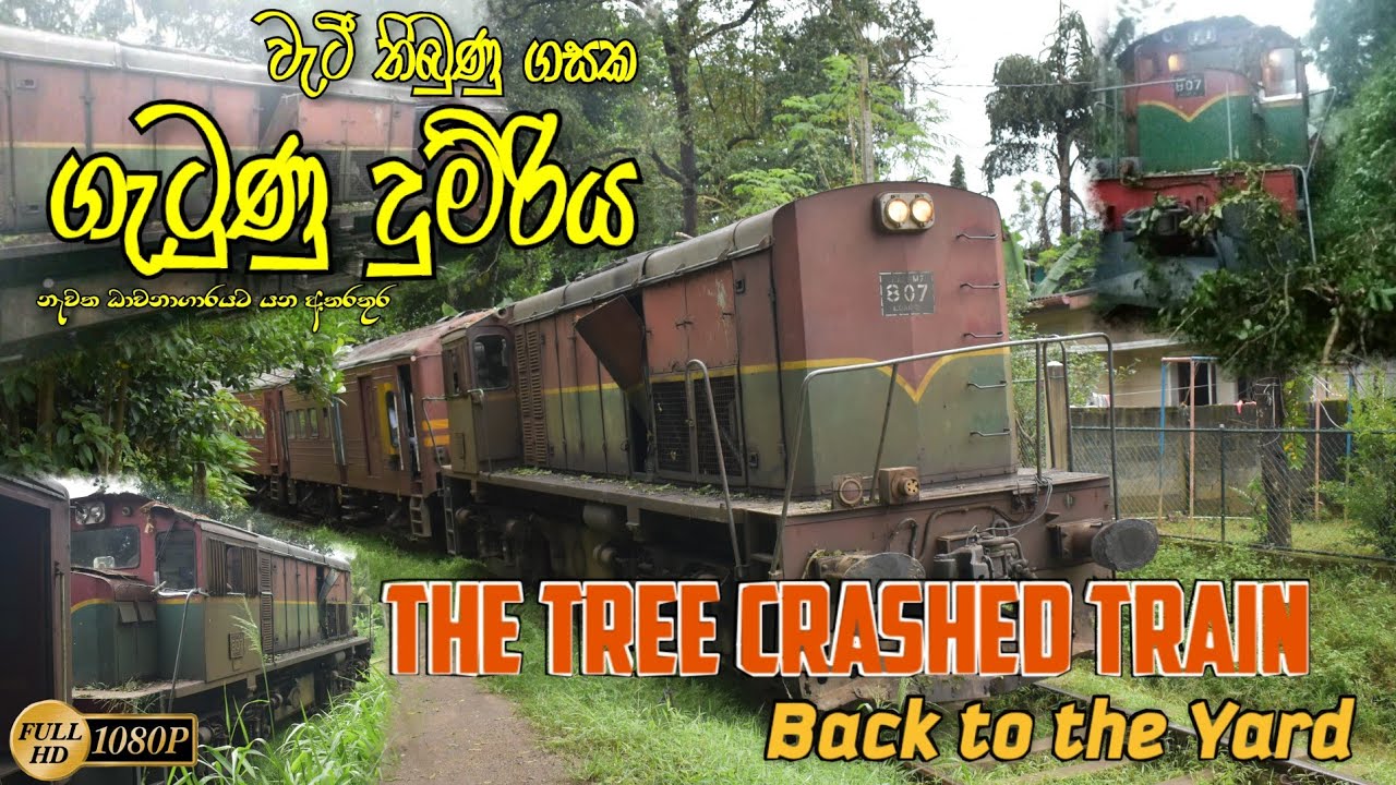 Tree Crashed Train On Matale line | Back to Kandy Yard | M7 807
