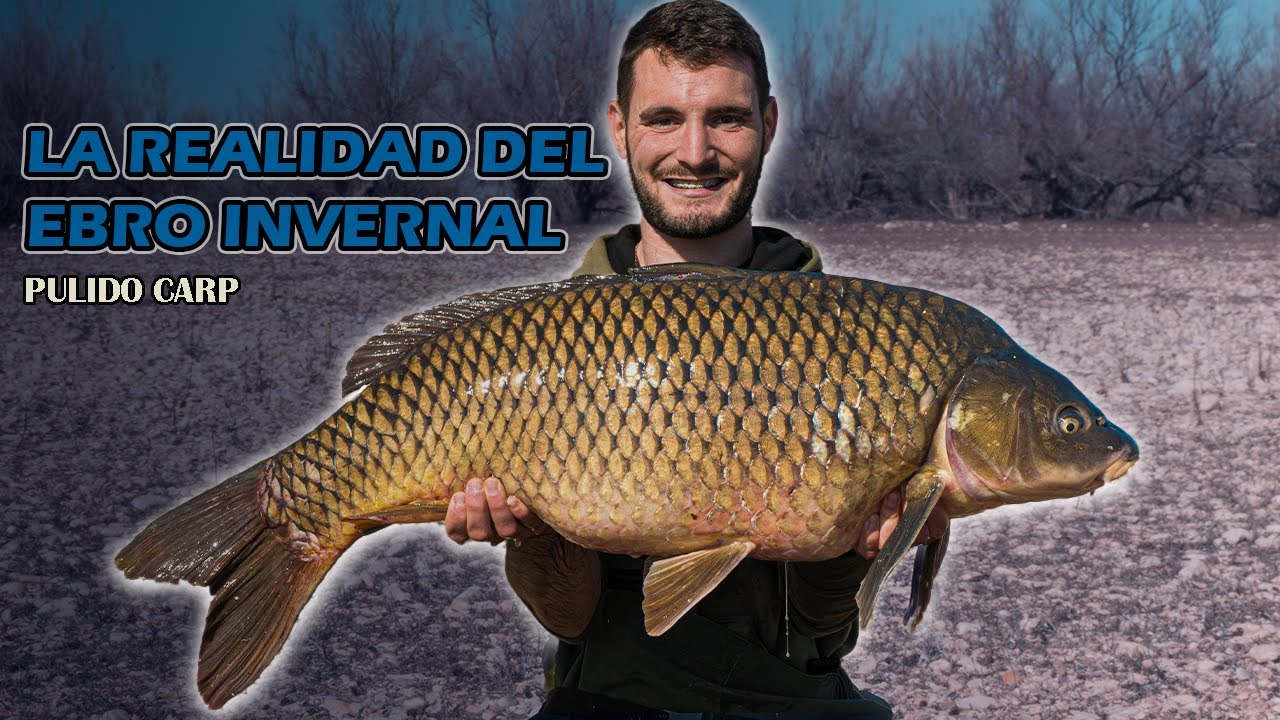 Carpfishing RIO EBRO - ¿Cómo AFRONTAR una sesión INVERNAL? - Pulidocarp