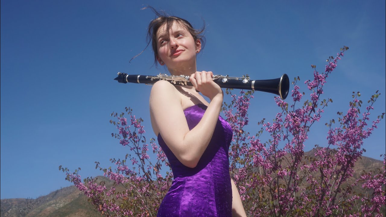 Brahms Clarinet Quintet, Movement 2