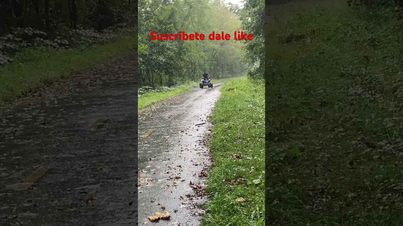 Yamaha YFZ 450f