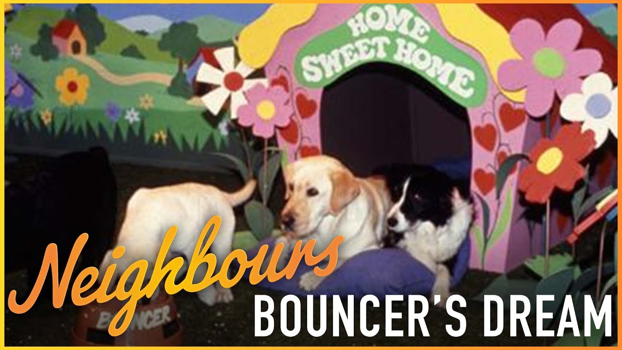 Bouncer's ICONIC Dream | Neighbours