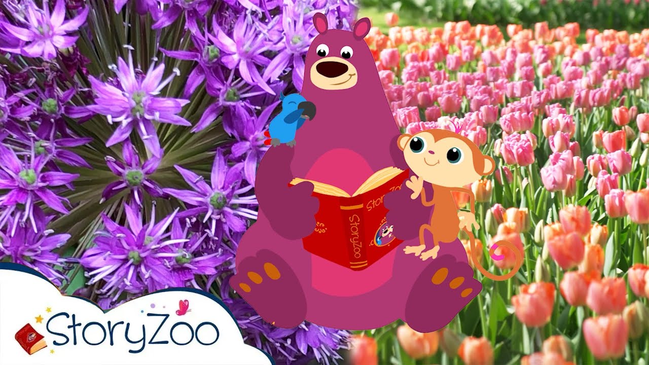 StoryZoo Abenteuer im Blumenpark 💐 | Tulpen 🌷 & Zierlauch 🌸 | Lehrvideos für Kinder | #storyzoo
