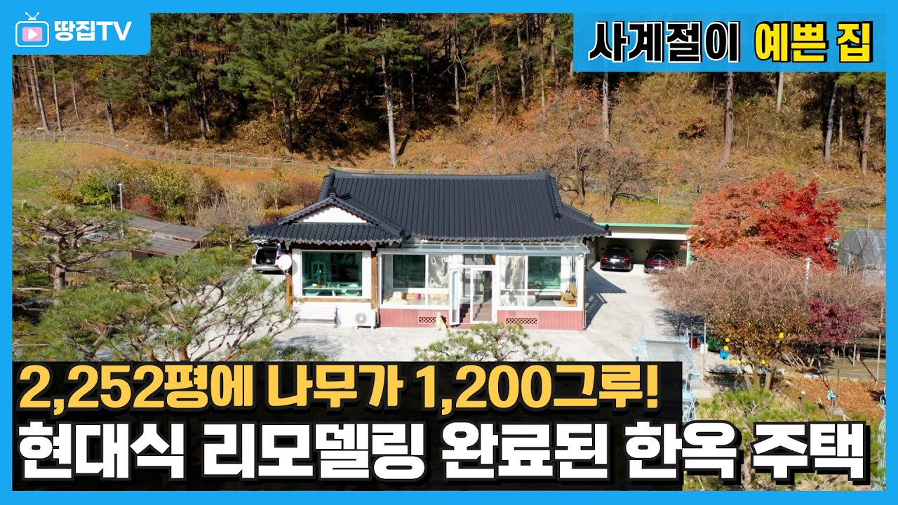 수목원이 우리 집 앞에? 2,252평 부지에 즐길 거리 가득한 한옥 주택(No. 762) #원주전원주택 #원주주택 #원주한옥주택 #구학리한옥 #신림면한옥 #한옥주택