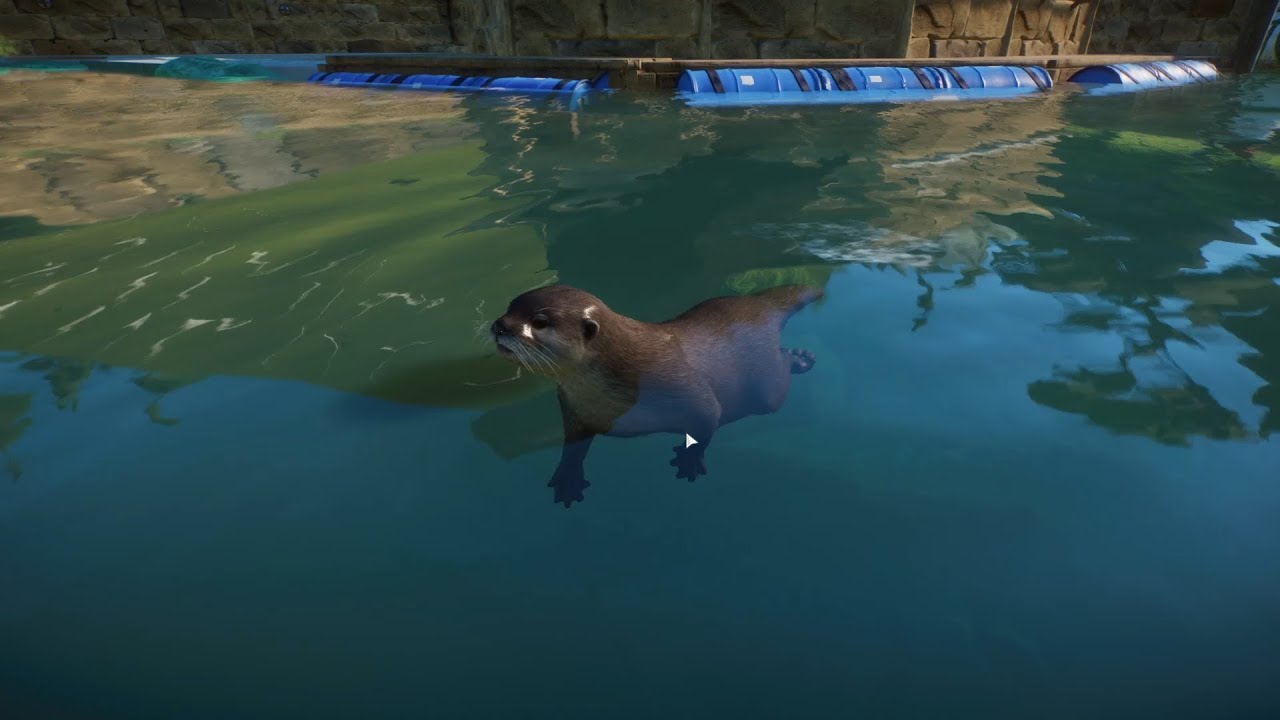 Planet Zoo (PC)(English) #123 5 Minutes of Asian Small-Clawed Otter (Wetlands Animal DLC)