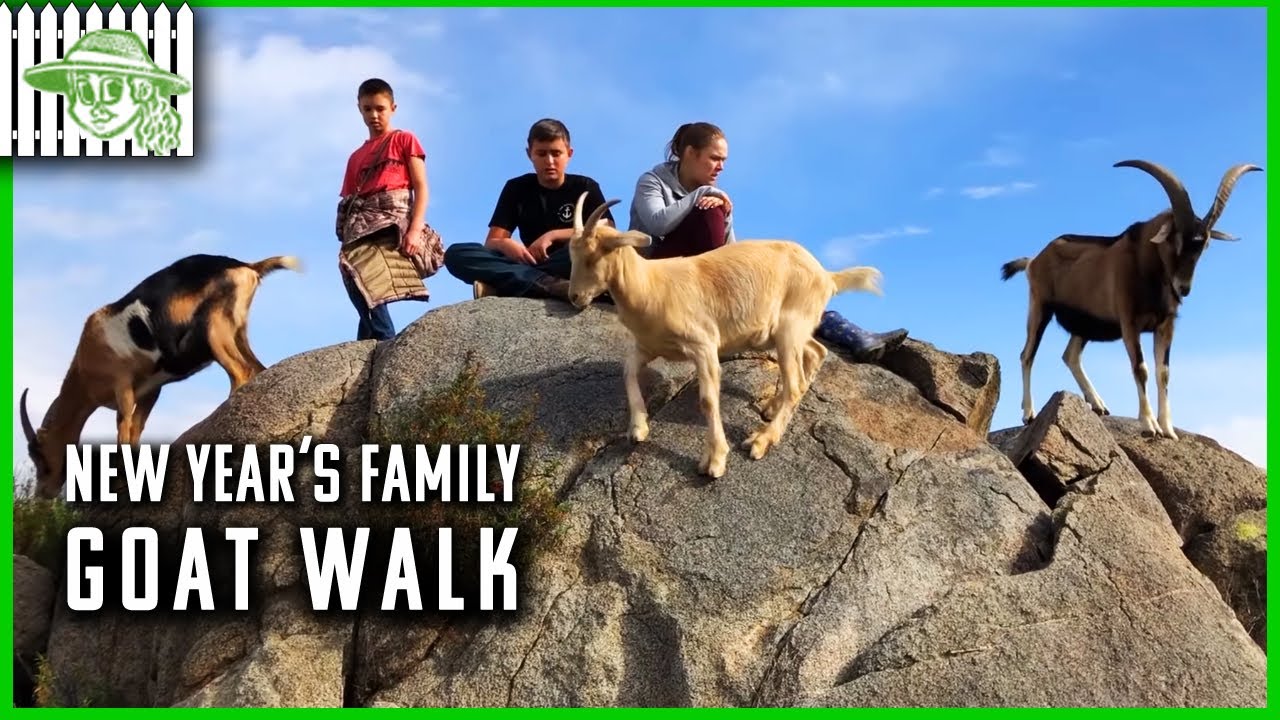 Browsey Acres | The Family Takes Their New Year's Goat Walk