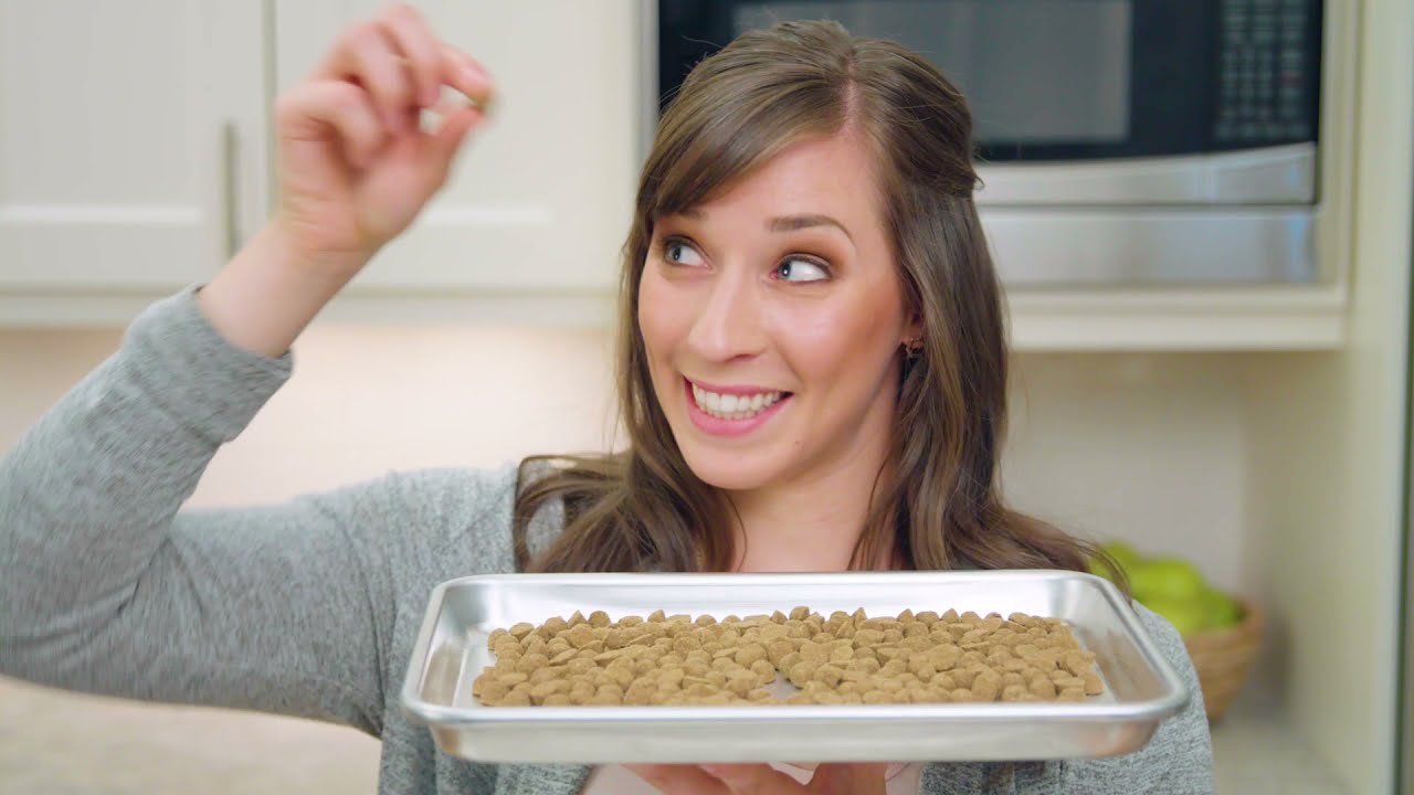 Stella & Chewy Raw Blend Kibble Product Video