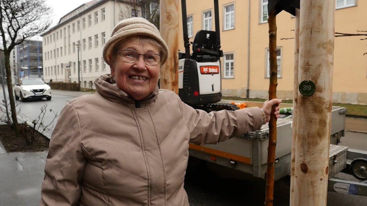 Pirna, ein Ort zum Wurzeln schlagen