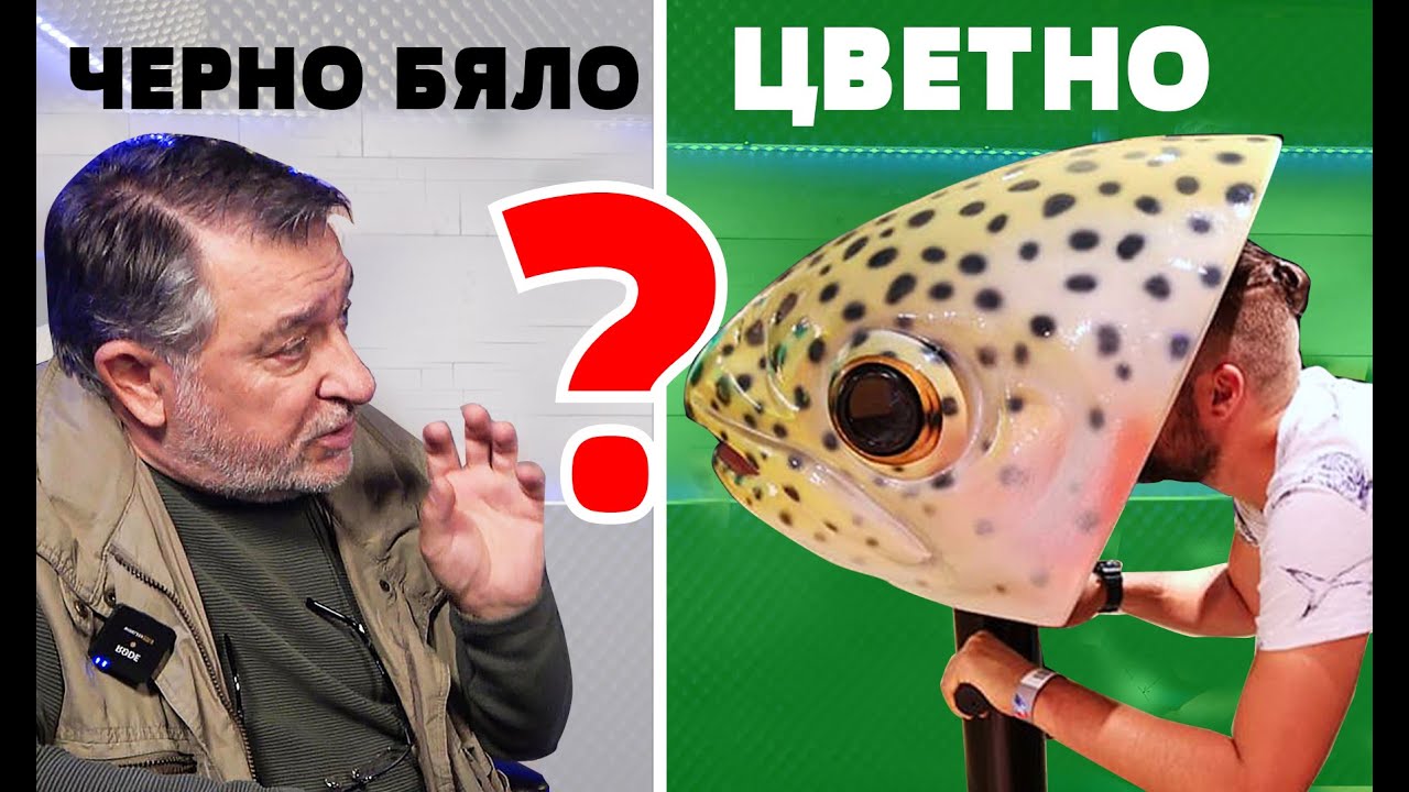 ВИЖДАТ ли РИБИТЕ ЦВЕТНО??? КАКВО УСЕЩАТ със страничната си линия?