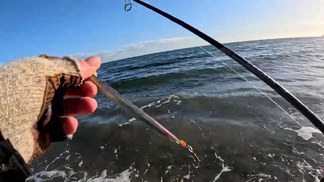 En super hyggelig søndag med 3 havørreder i nettet. 🎣😀