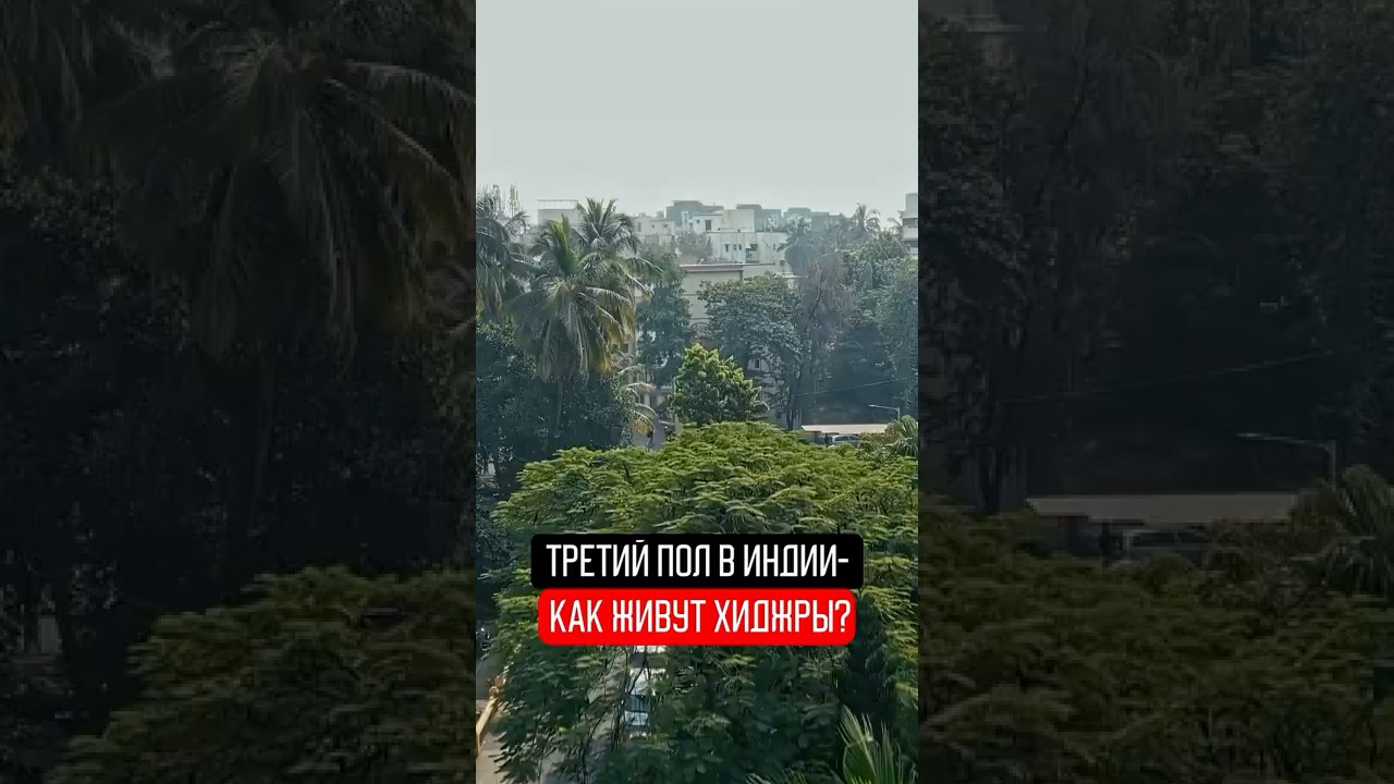 Третий пол в Индии: что скрывает тайга каста #индия #мумбаи #касты