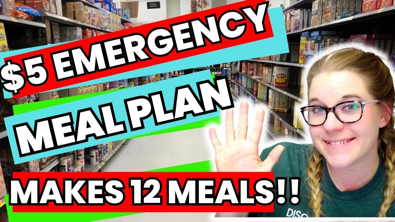 $5 Meal Plan | EXTREME EMERGENCY BUDGET CHALLENGE | Lunch & Dinner | Makes 12 Meals