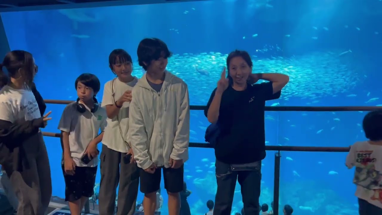 茨城県の水族館に行ってみた。