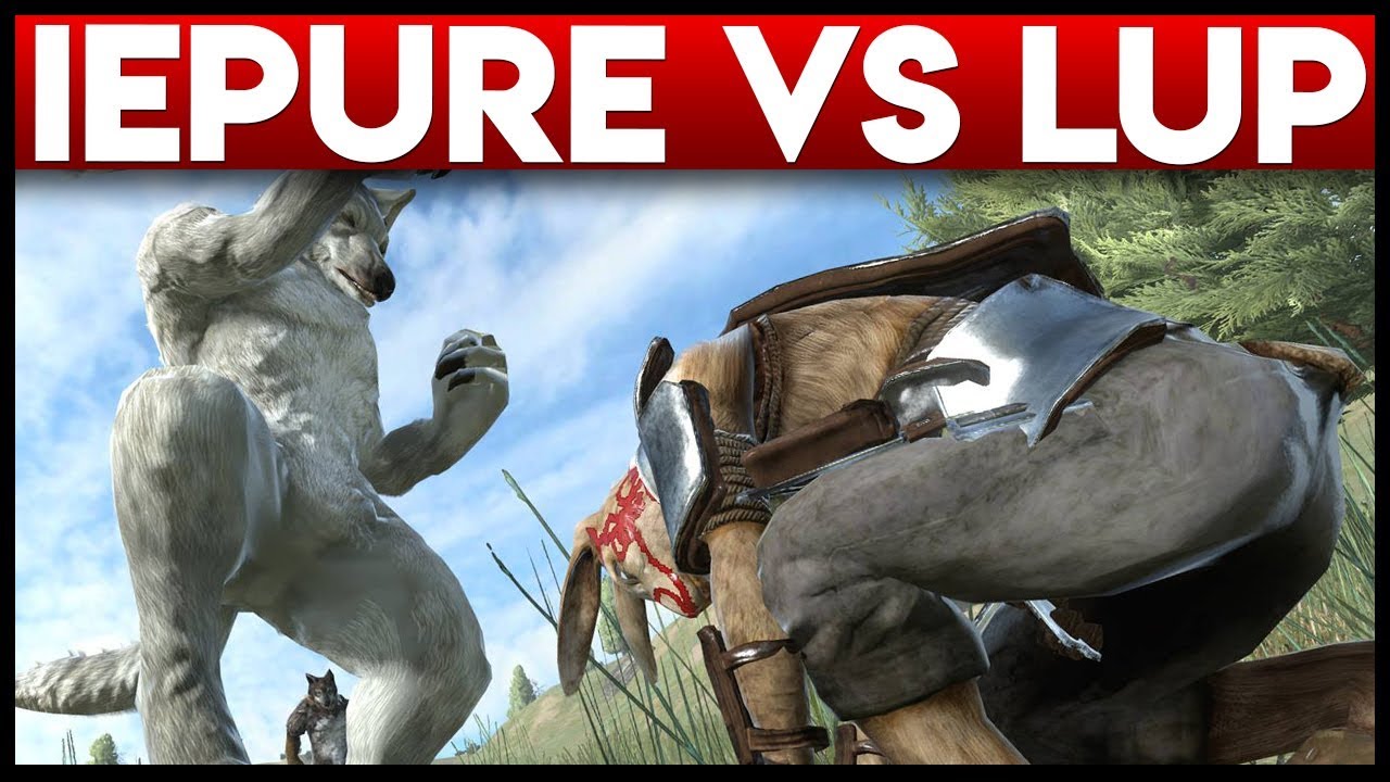 IEPURE VS LUP !