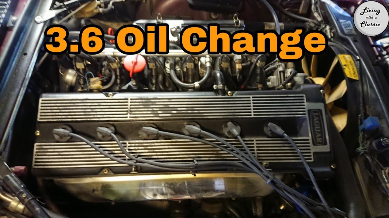 Jaguar XJS 3.6 Oil Change and Start Up