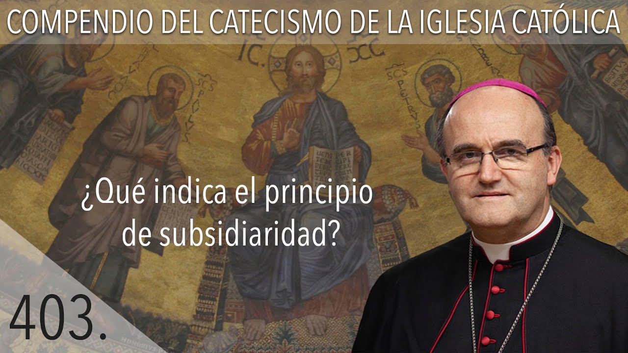 n&ordm; 403 &iquest;Qu&eacute; indica el principio de subsidiaridad?