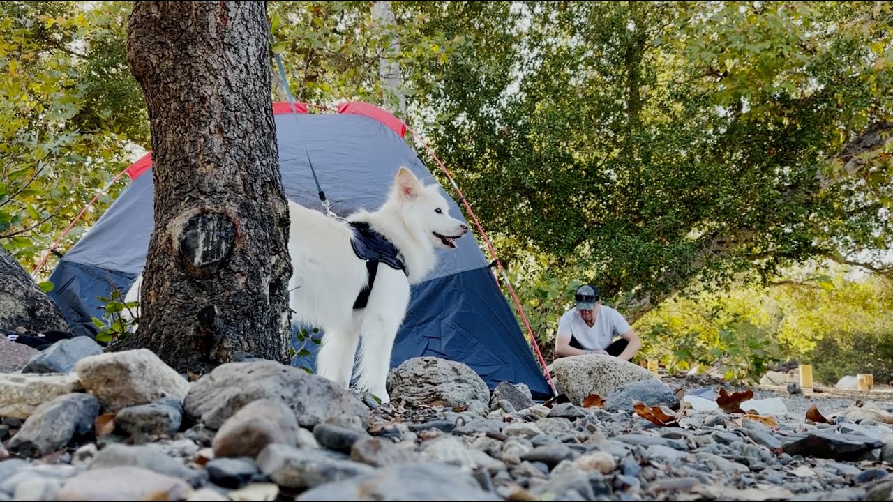 O'Neill Regional Park, Arroyo Campground, in Southern CA